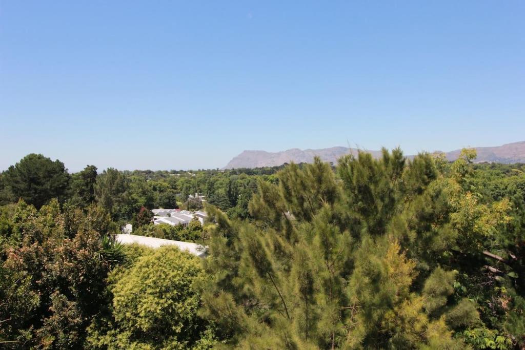 Alphen Drive Apartments Cape Town Luaran gambar